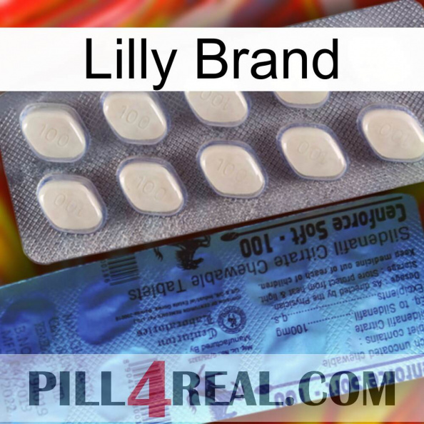 Lilly Brand 34.jpg